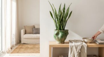 Ce cache-pot sculptural fascine tous mes invités : le détail qui change tout et où trouver le même