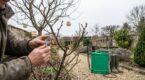 Ces signaux invisibles en février dans votre jardin alertent les pros avant l’invasion des pucerons