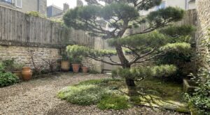 Cette taille japonaise méconnue peut transformer vos petits jardins en espaces bien plus grands dès ce printemps