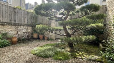 Cette taille japonaise méconnue peut transformer vos petits jardins en espaces bien plus grands dès ce printemps