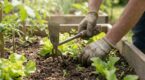 Depuis que j&rsquo;ai trouvé ce petit outil de jardinage à 2 € chez Castorama, je ne m&rsquo;épuise plus au potager