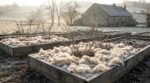 Fin d’hiver : les jardiniers l’ignorent, ce paillis issu de nos pulls peut tout changer au jardin