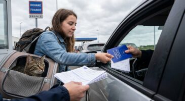 Frontière : ces papiers que les douanes exigent désormais pour votre chat, son simple carnet ne suffit plus en 2026