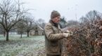 Haies en février : cette erreur de taille freine la reprise et peut aussi nuire aux oiseaux du jardin