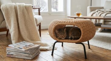 IKEA : ce meuble en rotin ultra tendance qui range le salon… et risque de devenir le QG secret de votre chat