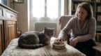Il s’éloigne, mange à peine : ces signes discrets à ne jamais ignorer quand un chat s’éteint doucement