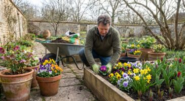 Jardin : ces fleurs à planter en retard en février pour sauver votre printemps si vous pensez avoir raté le coche
