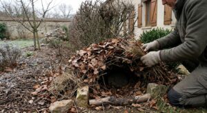 Jardin : ne jetez surtout pas ces déchets de jardin, dès maintenant ils peuvent sauver les hérissons épuisés par l’hiver