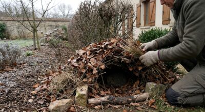 Jardin : ne jetez surtout pas ces déchets de jardin, dès maintenant ils peuvent sauver les hérissons épuisés par l’hiver