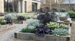 Jardin noir : cette tendance bluffe les paysagistes et cache des bienfaits que personne n&rsquo;attendait au jardin