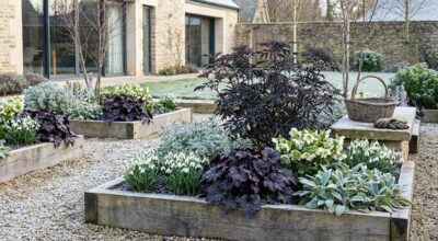 Jardin noir : cette tendance bluffe les paysagistes et cache des bienfaits que personne n&rsquo;attendait au jardin