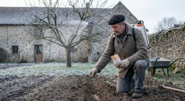 Jardinage : croire bien faire en attendant le &lsquo;vrai&rsquo; printemps vous fait perdre chaque année une partie de la récolte