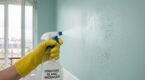 Moisissures sur mur peint : ce mélange de cuisine efface tout, mais devient dangereux si vous dépassez ce délai précis