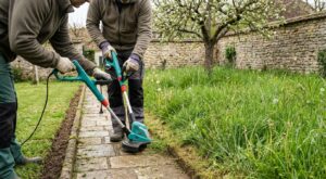 Pelouse nickel avant le printemps : ce coupe-bordure électrique ultra léger chute à un prix jamais vu