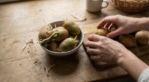 Pommes de terre germées ou vertes : ne faites plus cette erreur en cuisine, elle peut vous rendre malade