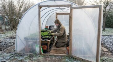 Potager : à 38 €, cette serre tunnel GiFi fait gagner des semaines dès février, si vous évitez une erreur courante