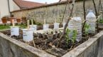 Potager : ces gadgets que tout le monde achète sont une arnaque, ce que vous avez déjà chez vous suffit