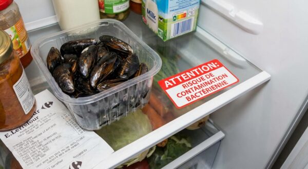 Rappel conso Auchan : si ces moules fraîches d&rsquo;Espagne sont encore dans votre frigo, ne les mangez plus