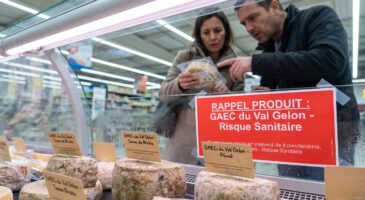 Rappel massif en France : ce fromage de brebis vendu chez E.Leclerc et Super U est contaminé par une bactérie