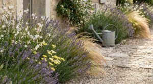 Restrictions d’eau : plantez ces vivaces increvables et vous oublierez l’arrosoir tout l’été sans manquer de fleurs