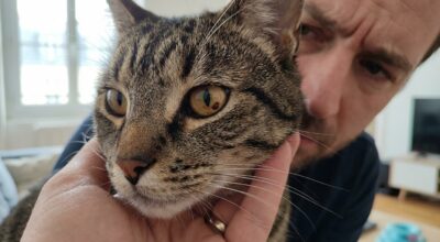 Une tache sombre sur l’iris de votre chat : ce détail précis distingue le simple grain de beauté d’un cancer de l’œil