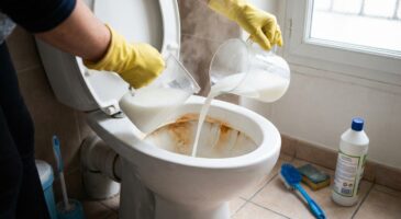 Vinaigre blanc inefficace dans vos WC ? Ce geste simple le fait enfin fondre tout le calcaire, sans frotter