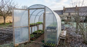 Voici la serre à moins de 35 € qui lance vos semis des semaines plus tôt, à condition d’éviter cette erreur