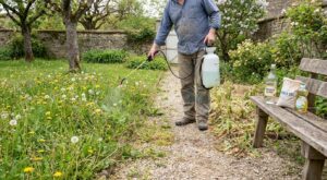 AdBlue : cette erreur dans vos allées peut coûter cher, voici le mélange naturel de 3 produits à moins de 2 € en 24 h