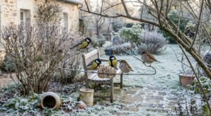 Adieu les mangeoires hors de prix : cet objet en métal de votre penderie nourrit les oiseaux pour 0 € cet hiver