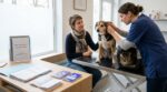 Assurance chien ou chat : aucun papier d&rsquo;origine ? Ne renoncez pas, ces 2 preuves sauvent votre dossier d&rsquo;assurance