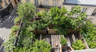Avant la prochaine canicule, cette méthode Miyawaki transforme les plus petits balcons en mini-forêts fraîches