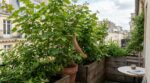 Balcon écrasé par la chaleur ? Cette technique japonaise le transforme en mini-forêt fraîche et vivante