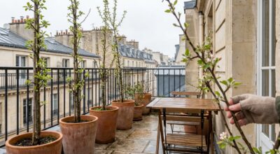 Balcon ou terrasse : plantez ce fruitier ultra-compact avant fin mars et transformez 1 m² en mini-verger