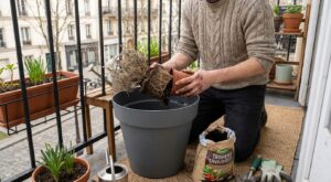 Balcon qui étouffe ? Cette astuce au prix d’un café pour rempoter tout votre balcon sans vous ruiner