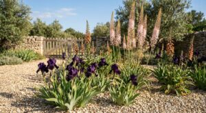 Ce trio de vivaces à planter avant fin mars offre un massif sans arrosage que personne n’imagine possible