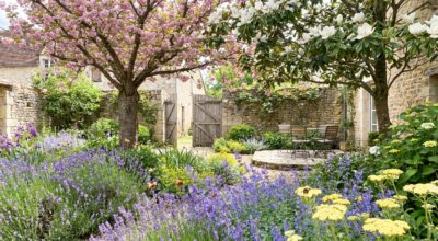 Ces 5 fleurs à planter ce printemps rendent votre jardin méconnaissable et attirent une nuée d’abeilles et papillons