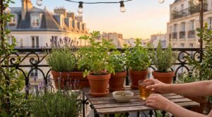 Ces plantes à mettre sur votre balcon font chuter de 45 % les moustiques et embaument vos soirées d’été