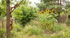 Ces plantes adorées des écureuils freinent les ravageurs : si vous ne les avez pas au jardin, vous vous privez de trop
