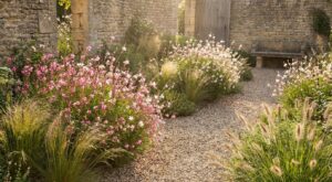 Cette fleur sans arrosage envahit tous les massifs : pourquoi les jardiniers se l’arrachent avant l’été