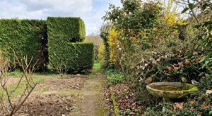 Chaque printemps, cette erreur de jardinage fait fuir les oiseaux et les pousse à abandonner leurs nids