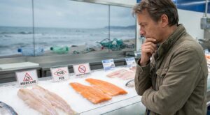 Comme beaucoup de Français, je pensais bien faire avec le poisson… jusqu’à voir ce que contiennent vraiment ces filets