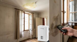 Dégât des eaux : ne comptez plus les semaines, seul ce taux d’humidité caché dit vraiment quand repeindre