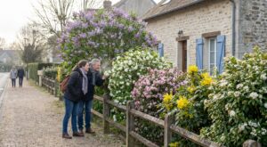 Fin mars : ces 5 arbustes parfumés méconnus à planter sans attendre vont embaumer tout votre quartier