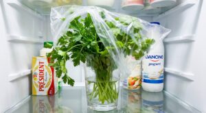 Herbes fraîches : cette mauvaise habitude au frigo les fait pourrir, ce geste simple peut les garder 3 semaines