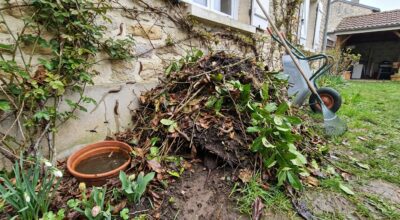 Jardin : cette habitude de rangement au fond du terrain fait exploser limaces, rongeurs et moustique tigre chez vous