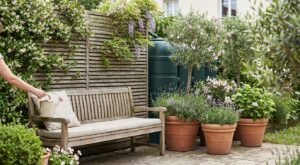Jardin : « Mon récupérateur d’eau de pluie gâchait tout », ces astuces l’ont rendu invisible (sans travaux)