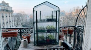 Jardinage : si vos semis grillent au gel, ce petit équipement Amazon à moins de 45 € peut tout changer sur balcon