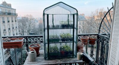 Jardinage : si vos semis grillent au gel, ce petit équipement Amazon à moins de 45 € peut tout changer sur balcon