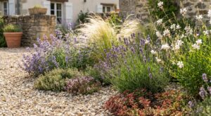 Jardiniers : cette règle 3-2-1 des paysagistes sauve votre massif cet été, sans presque jamais sortir l’arrosoir