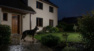 Je dors enfin tranquille : ces 3 chiens de garde font plus fuir les intrus que votre alarme, surtout la nuit